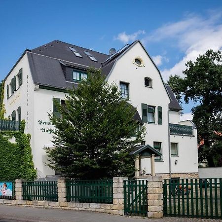 Villa Angelika دريسدن المظهر الخارجي الصورة