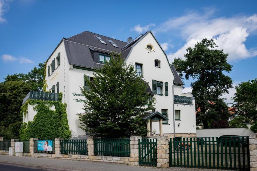 Villa Angelika دريسدن المظهر الخارجي الصورة